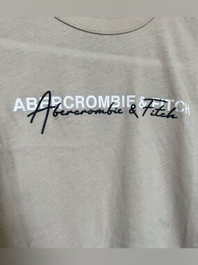 Abercrombie & Fitch Tan Logo Graphic Tee